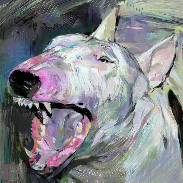 White Dog